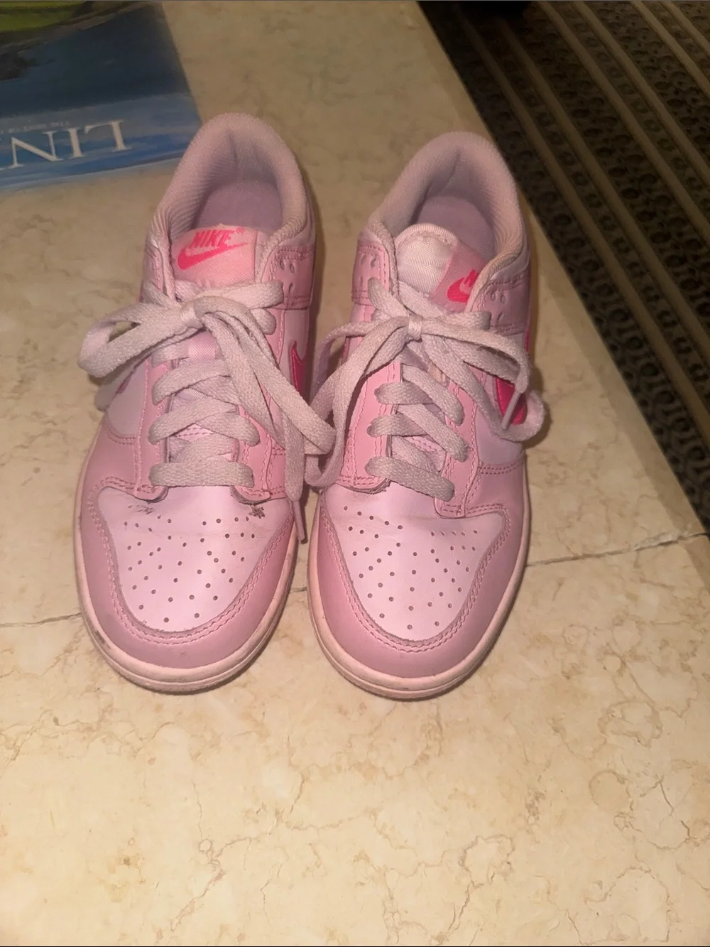 Nike Women’s/Kids Pink Low-Top Dunks Sneakers